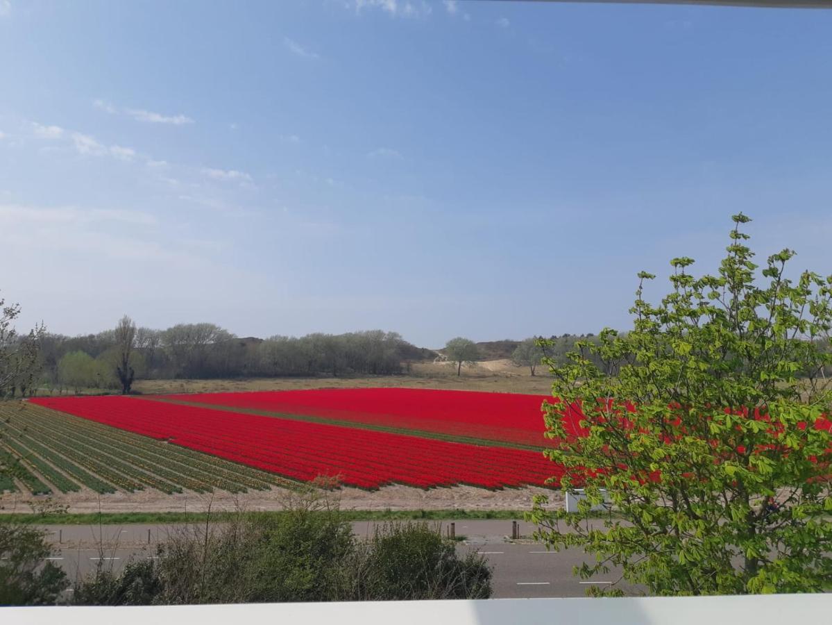 4T4 Apartment C Egmond aan den Hoef Luaran gambar